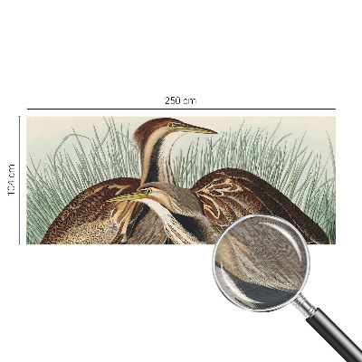 Hoogwaardig fotobehang met een realistische weergave van vogels