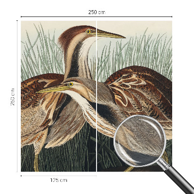 Hoogwaardig fotobehang met een realistische weergave van vogels