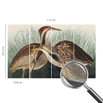 Hoogwaardig fotobehang met een realistische weergave van vogels