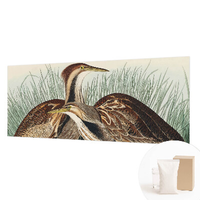 Hoogwaardig fotobehang met een realistische weergave van vogels