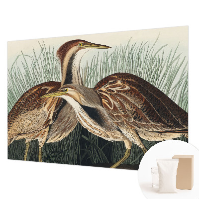 Hoogwaardig fotobehang met een realistische weergave van vogels