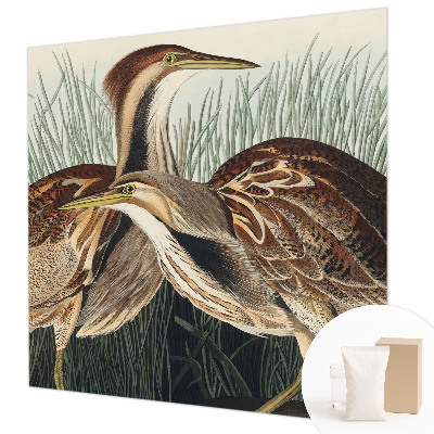 Hoogwaardig fotobehang met een realistische weergave van vogels