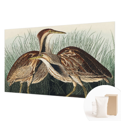 Hoogwaardig fotobehang Realistische vogels