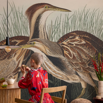 Hoogwaardig fotobehang Realistische vogels