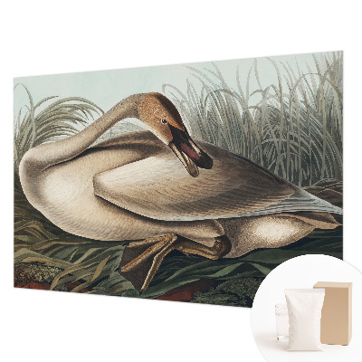 Kwalitatief fotobehang met een natuurlijke vogelafbeelding