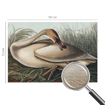 Kwalitatief fotobehang met een natuurlijke vogelafbeelding