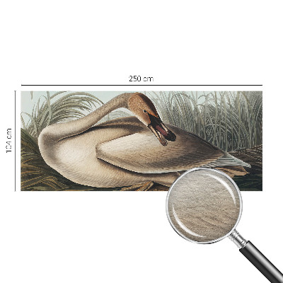 Kwalitatief fotobehang met een natuurlijke vogelafbeelding