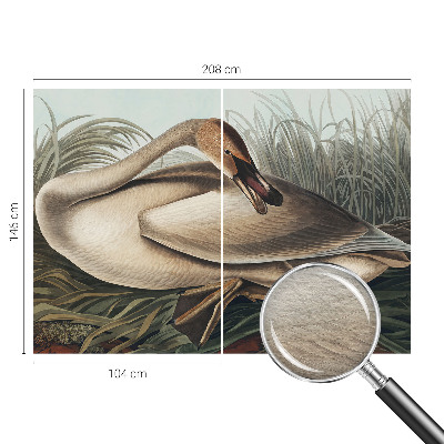 Kwalitatief fotobehang met een natuurlijke vogelafbeelding