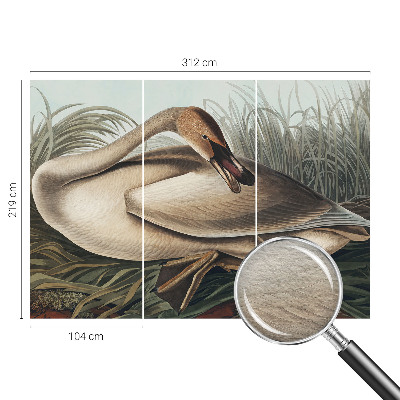 Kwalitatief fotobehang met een natuurlijke vogelafbeelding