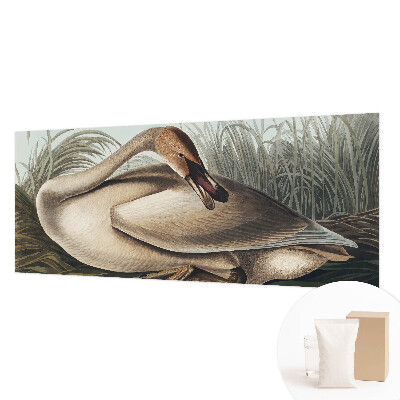 Kwalitatief fotobehang met een natuurlijke vogelafbeelding