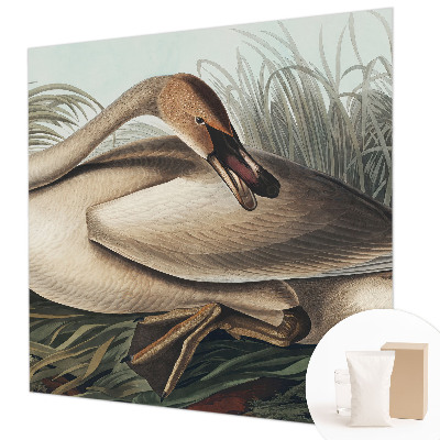 Kwalitatief fotobehang Natuurlijke vogel