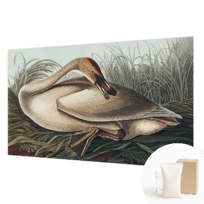 Kwalitatief fotobehang met een natuurlijke vogelafbeelding