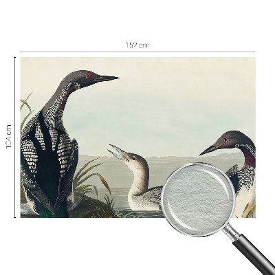 Uniek fotobehang met een afbeelding van vogels boven het water