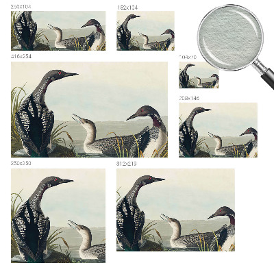 Uniek fotobehang met een afbeelding van vogels boven het water