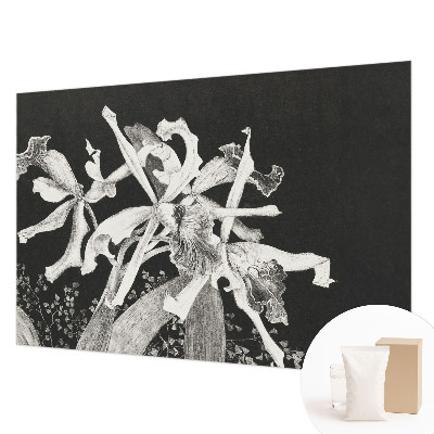 Groot fotobehang met een illustratie van een orchidee