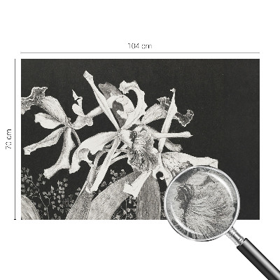 Groot fotobehang met een illustratie van een orchidee