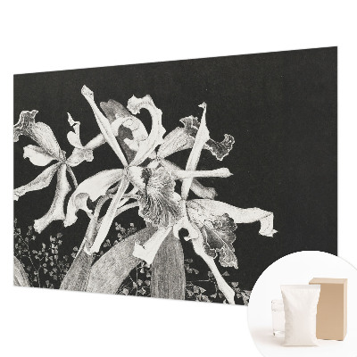 Groot fotobehang met een illustratie van een orchidee