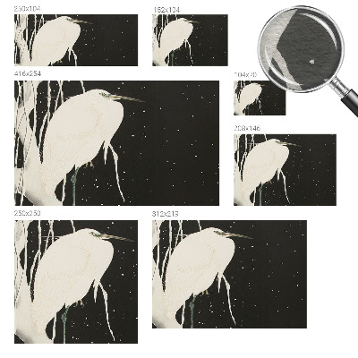 Vlies fotobehang met een print van een wintervogel