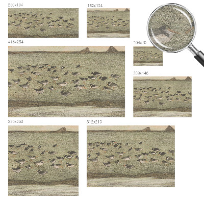 Fotobehang op maat Vogels vrede