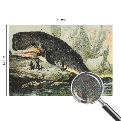 Modern fotobehang Zeegigantisme