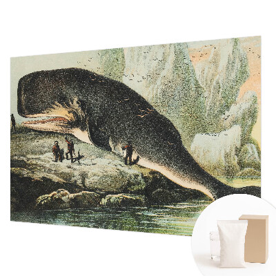 Modern fotobehang Zeegigantisme