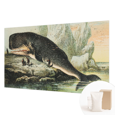 Modern fotobehang met een ontwerp in het thema zeegigantisme