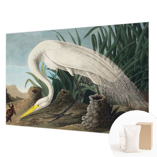 Kwalitatief fotobehang met een majestueuze reiger als motief