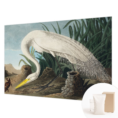 Kwalitatief fotobehang met een majestueuze reiger als motief