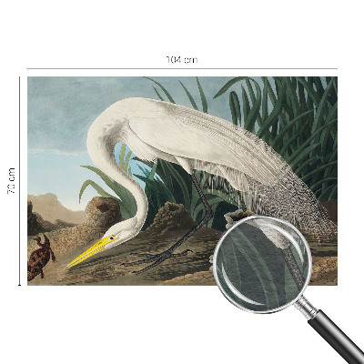 Kwalitatief fotobehang met een majestueuze reiger als motief
