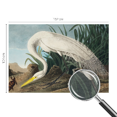 Kwalitatief fotobehang met een majestueuze reiger als motief