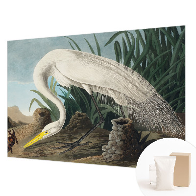 Kwalitatief fotobehang met een majestueuze reiger als motief