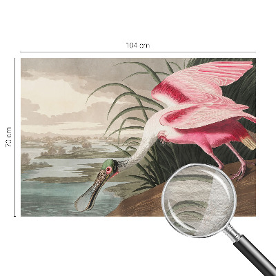 Sfeervol fotobehang met een afbeelding van een exotische vogel