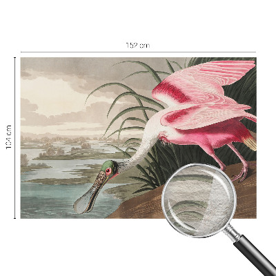 Sfeervol fotobehang met een afbeelding van een exotische vogel