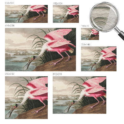 Sfeervol fotobehang Exotische vogel