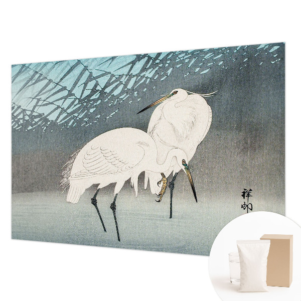 Vlies fotobehang Kwetsbare vogels