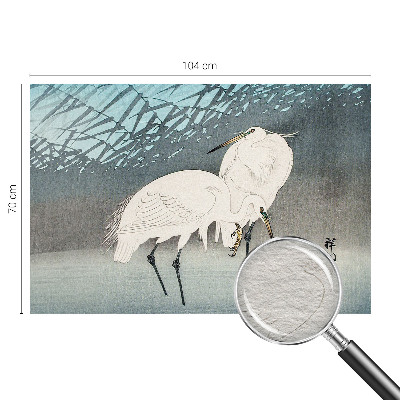 Vlies fotobehang Kwetsbare vogels