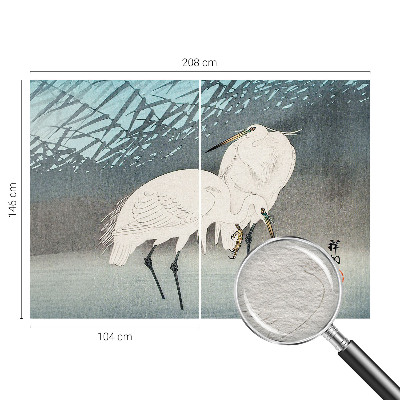 Vlies fotobehang Kwetsbare vogels