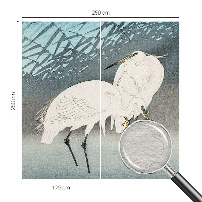 Vlies fotobehang Kwetsbare vogels