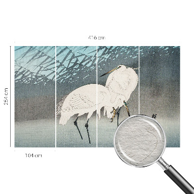 Vlies fotobehang Kwetsbare vogels