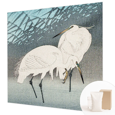 Vlies fotobehang Kwetsbare vogels