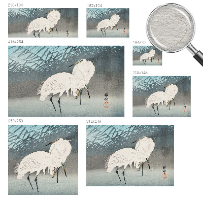 Vlies fotobehang met motief van kwetsbare vogels
