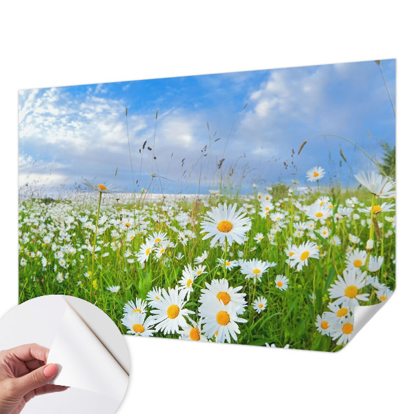 Fotobehang zelfklevend met het motief 'Zomerweide'