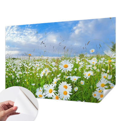 Fotobehang zelfklevend met het motief 'Zomerweide'