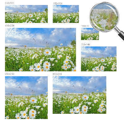 Fotobehang zelfklevend met het motief 'Zomerweide'