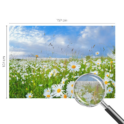 Fotobehang zelfklevend met het motief 'Zomerweide'