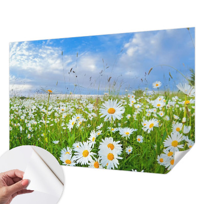 Fotobehang zelfklevend met het motief 'Zomerweide'