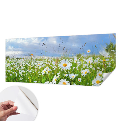 Fotobehang zelfklevend Zomerweide