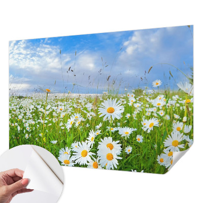 Fotobehang zelfklevend Zomerweide