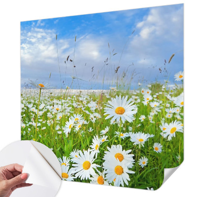 Fotobehang zelfklevend met het motief 'Zomerweide'