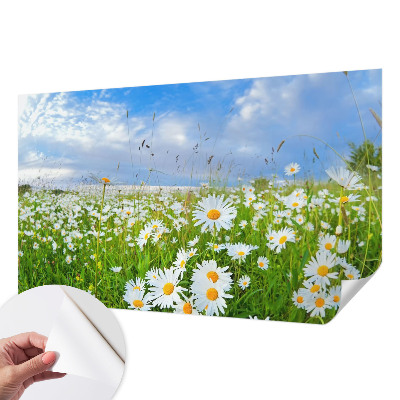 Fotobehang zelfklevend met het motief 'Zomerweide'